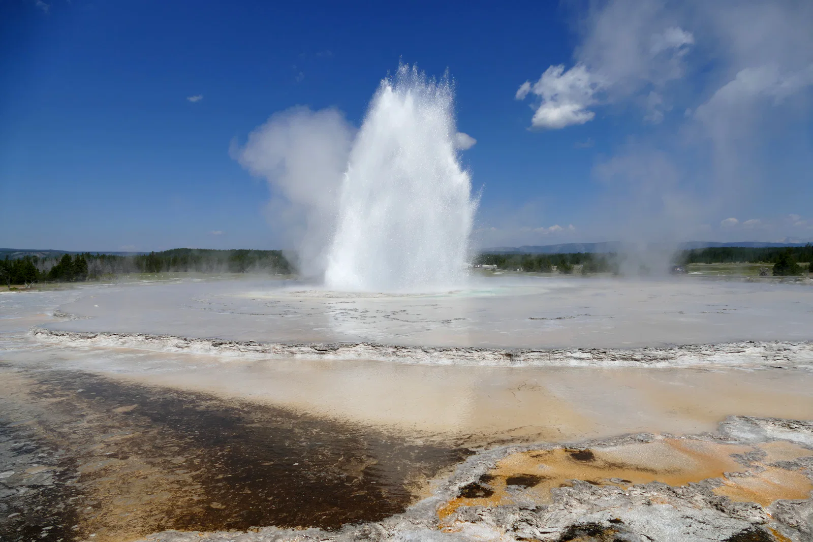 Great Fountain Geyser sends a column of water and steam above Yellowstone's mineral terraces.